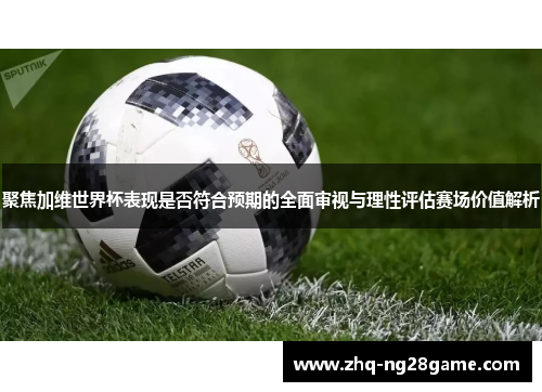 聚焦加维世界杯表现是否符合预期的全面审视与理性评估赛场价值解析